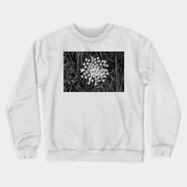 Seed Pod Black and White Crewneck Sweatshirt by andykazie